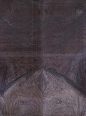 walnut 9